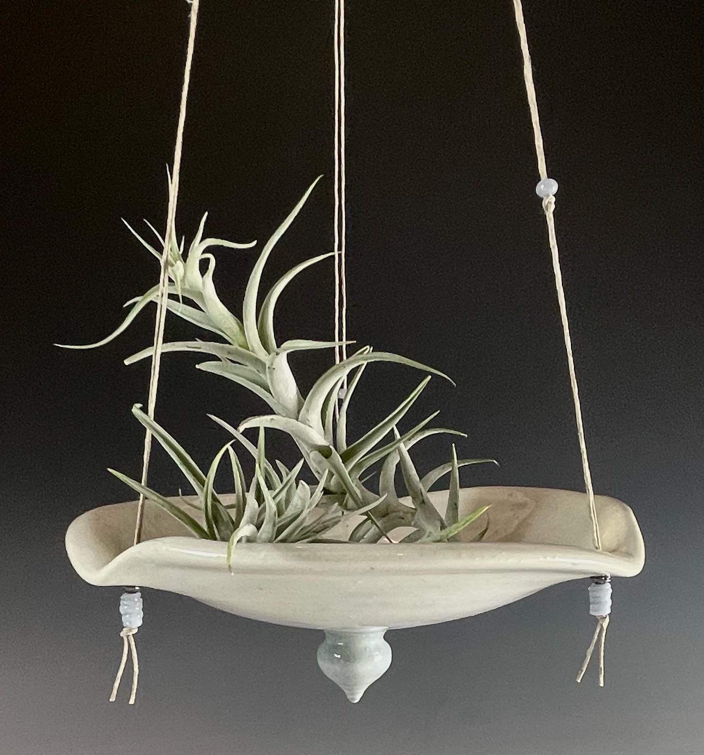 Hanging Planter
