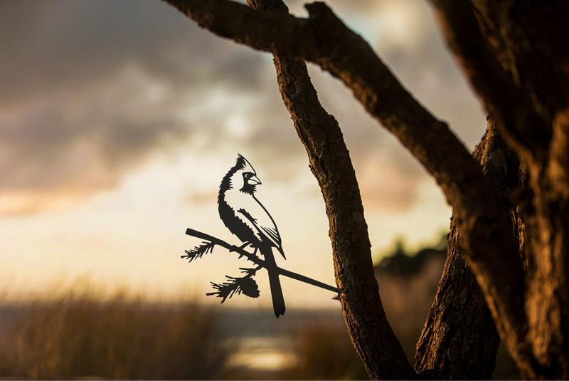 Metalbirds (Various Species)
