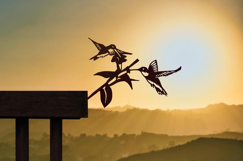 Metalbirds (Various Species)