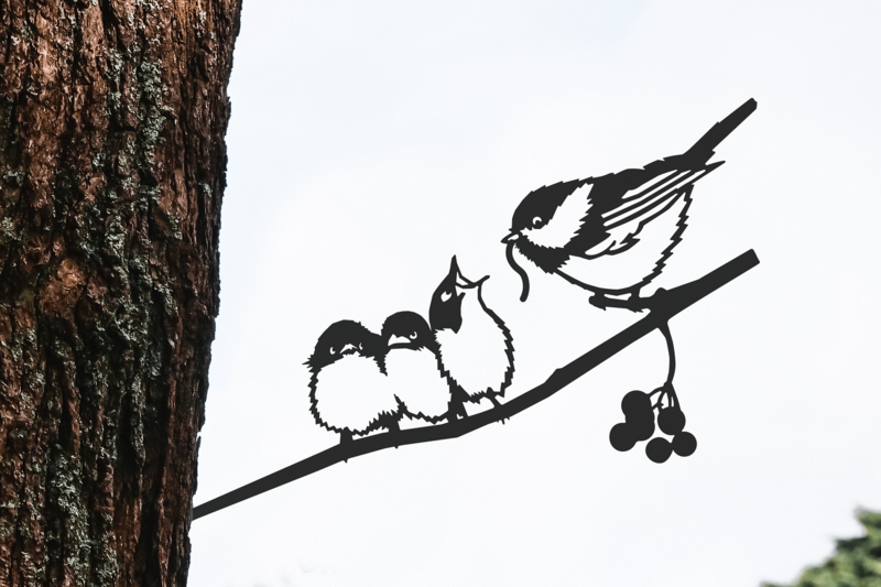 Metalbirds (Various Species)