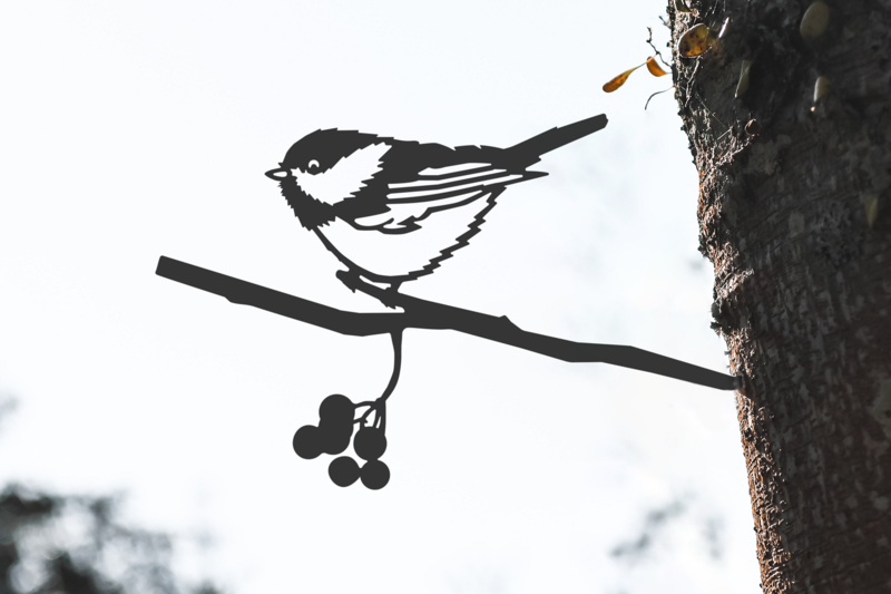 Metalbirds (Various Species)